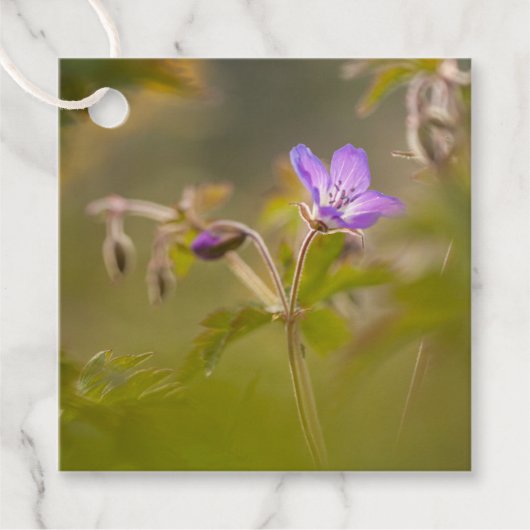 Blume Nature Foto Geschenkanhänger (Vorderseite)