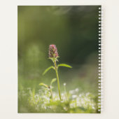 Blume Nature Foto Planer (Rückseite)