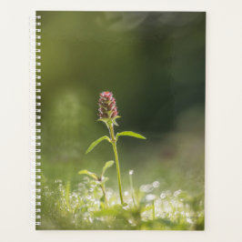 Blume Nature Foto Planer