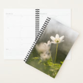 Blume Nature Foto Planer (Anzeige)