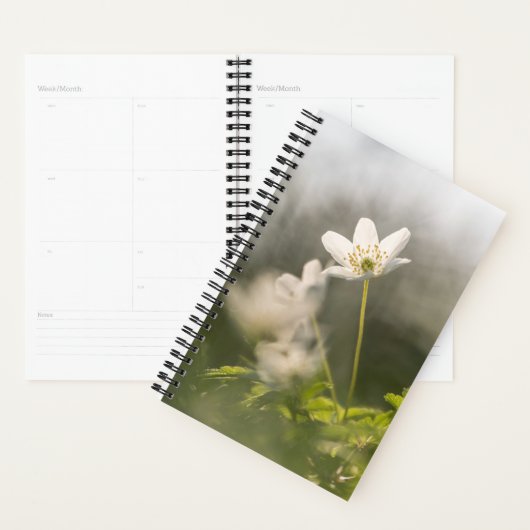 Blume Nature Foto Planer (Anzeige)