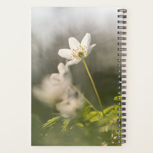 Blume Nature Foto Planer (Rückseite)