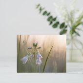 Blume Nature Foto Postkarte (Stehend Vorderseite)