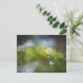 Blume Nature Foto Postkarte (Stehend Vorderseite)