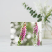Blume Nature Foto Postkarte (Stehend Vorderseite)