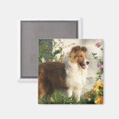 Blume-Netzteil-Magnet Magnet (Vorderseite/Rückseite)