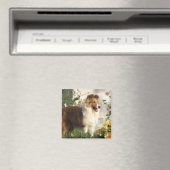 Blume-Netzteil-Magnet Magnet (In Situ (Geschirrspüler))