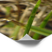 Blume - Neue Schöpfung Poster (Ecke)