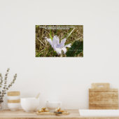 Blume - Neue Schöpfung Poster (Küche)