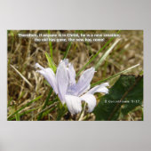 Blume - Neue Schöpfung Poster (Vorne)