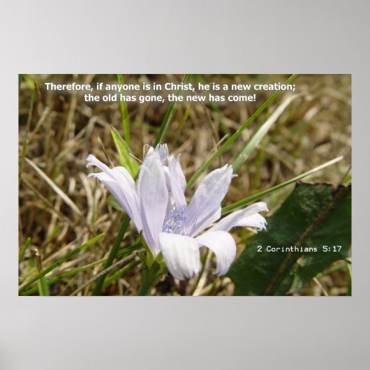 Blume - Neue Schöpfung Poster (Vorne)