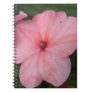 Blume Notebook mit hellrosa Impatiens Notizblock