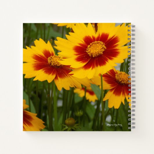 Blume-Notebook Notizblock (Rückseite)