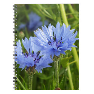 Blume Notizblock