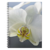 Blume Notizblock (Vorderseite)