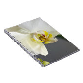 Blume Notizblock (Rechte Seite)