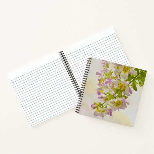 Blume Notizblock (Innenseite)