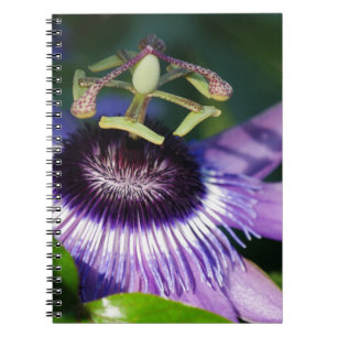 Blume Notizblock