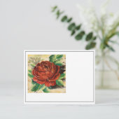 Blume Nr. 1 Postkarte (Stehend Vorderseite)