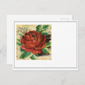 Blume Nr. 1 Postkarte (Vorne/Hinten)