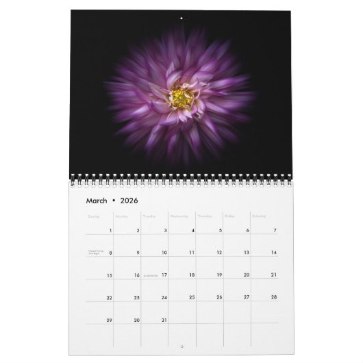 Blume Nr. 20 für den Farbfluss im Hintergrund Kalender (Mär 2026)