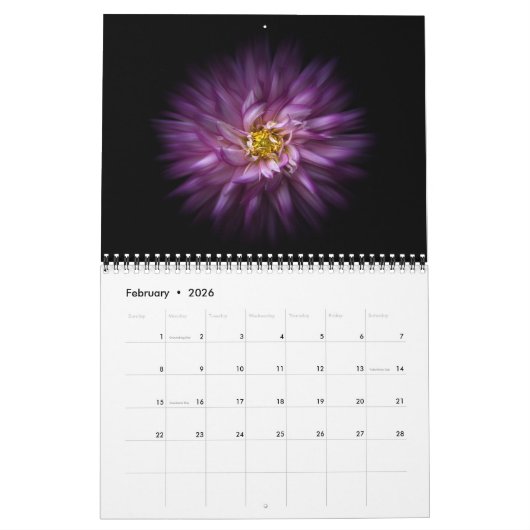 Blume Nr. 20 für den Farbfluss im Hintergrund Kalender (Feb 2026)