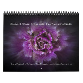 Blume Nr. 42 Farbflussversion im Hintergrund Kalender
