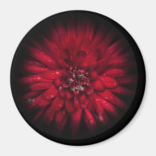 Blume Nr. 45 Farbflussversion Magnet