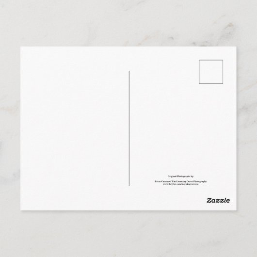 Blume Nr. 45 Farbflussversion Postkarte (Rückseite)