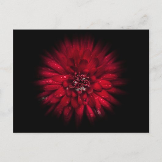 Blume Nr. 45 Farbflussversion Postkarte (Vorderseite)