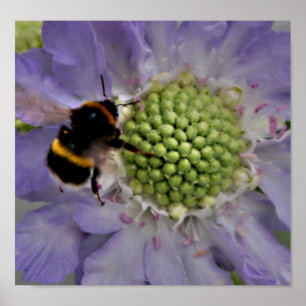 Blume Nr. 6 (Einzelheiten) Poster