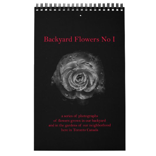 Blume Nr. I Kalender (Titelbild)