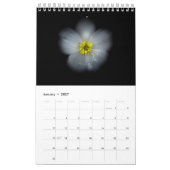 Blume Nr. II Kalender (Jan 2027)