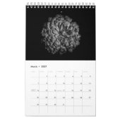 Blume Nr. II Kalender (Mär 2027)