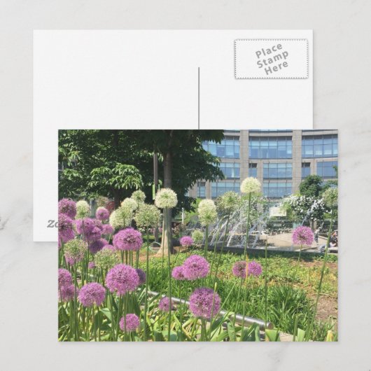 Blume NYC Columbus Circle Fountain Postkarte (Vorne/Hinten)