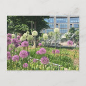 Blume NYC Columbus Circle Fountain Postkarte (Vorderseite)