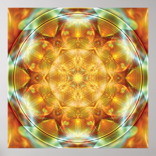 Blume of Life Mandala 16 Poster (Vorne)