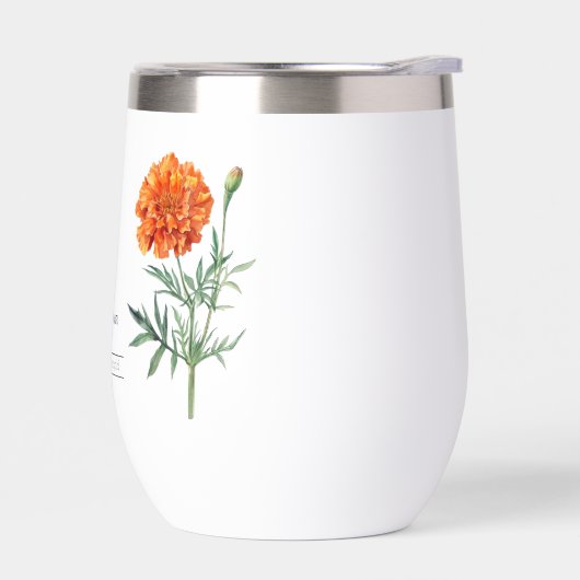 Blume Oktober Marigold (Links)