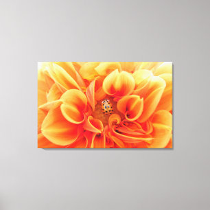 Blume Orange Dahlia mit Lady Bug Leinwanddruck