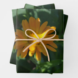 Blume Orange Pot Marigold (Calendula officinalis) Geschenkpapier Set