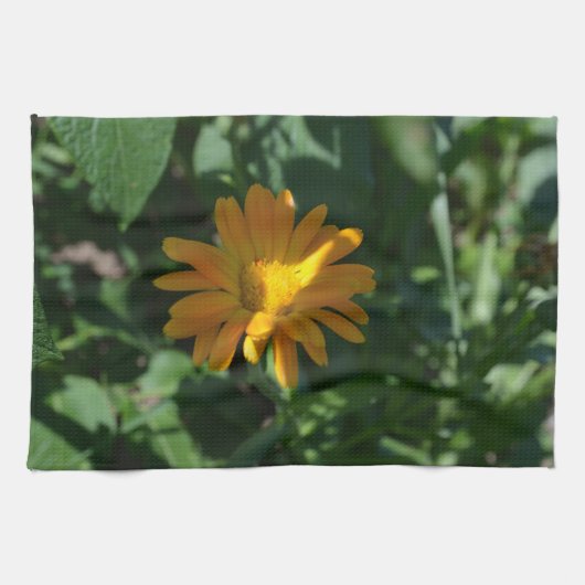 Blume Orange Pot Marigold (Calendula officinalis) Geschirrtuch (Horizontal)