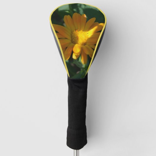 Blume Orange Pot Marigold (Calendula officinalis) Golf Headcover (Vorderseite)