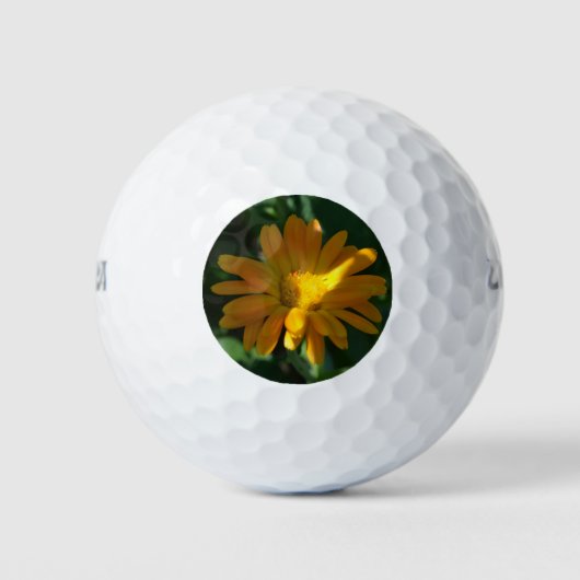 Blume Orange Pot Marigold (Calendula officinalis) Golfball (Vorderseite)