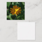 Blume Orange Pot Marigold (Calendula officinalis) Mitteilungskarte (Vorne/Hinten)