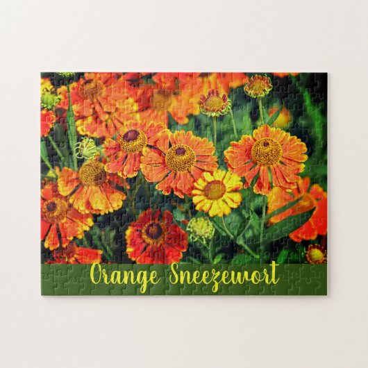 Blume Orange Sneezeweed Helenium Garden Puzzle (Horizontal)