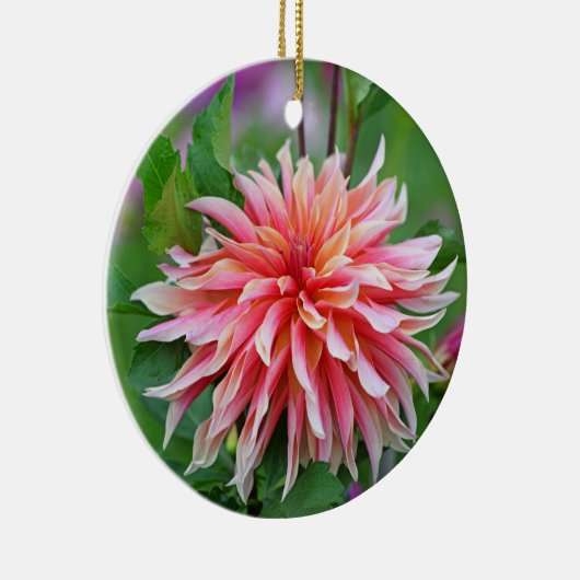 Blume Orange und Pink Dahlia 1. Keramik Ornament (Rechts)
