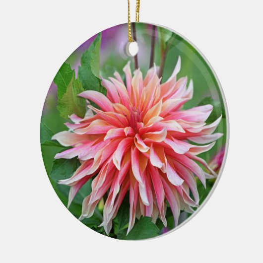 Blume Orange und Pink Dahlia 1. Keramik Ornament (Links)