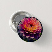 Blume Orange und Pink Dahlia Button (Vorne & Hinten)