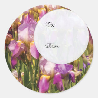 Blume - Orchid - Eine Leidenschaft für lila Runder Aufkleber