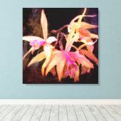 Blume - Orchid - Laelia - Mitternachtsleidenschaft Leinwanddruck (Insitu (Holzboden))